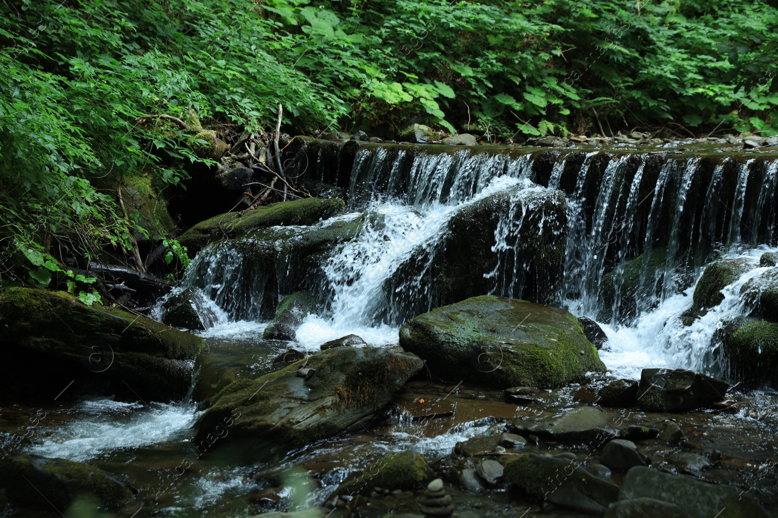 Photo of Picturesque view of river flowing near rocks in forest