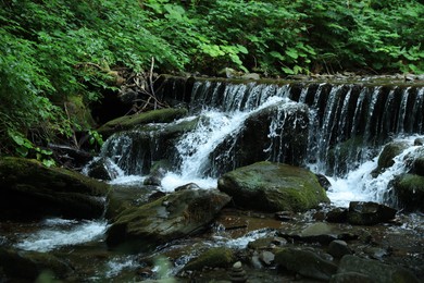 Picturesque view of river flowing near rocks in forest