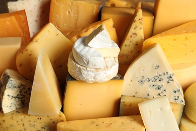 Different types of delicious cheese as background, closeup