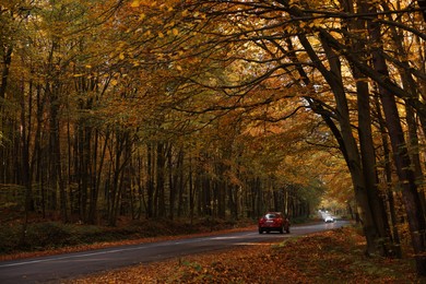 Photo of Beautiful view of asphalt road with cars near forest