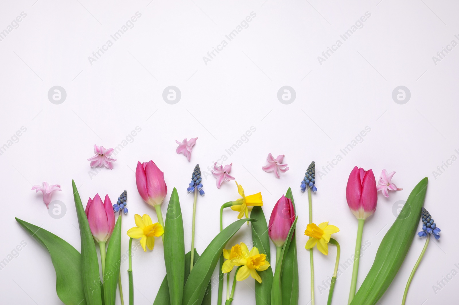 Photo of Beautiful flowers on white background, flat lay. Space for text