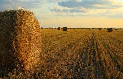 Beautiful view of agricultural field with hay bales