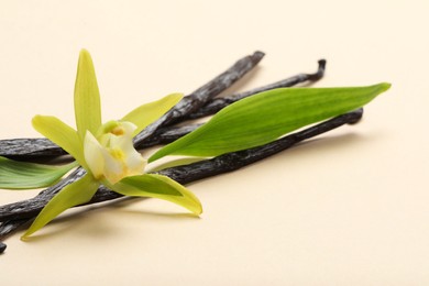 Photo of Vanilla pods, beautiful flower and green leaves on beige background, closeup