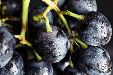 Photo of Bunch of fresh ripe juicy grapes as background. Closeup view