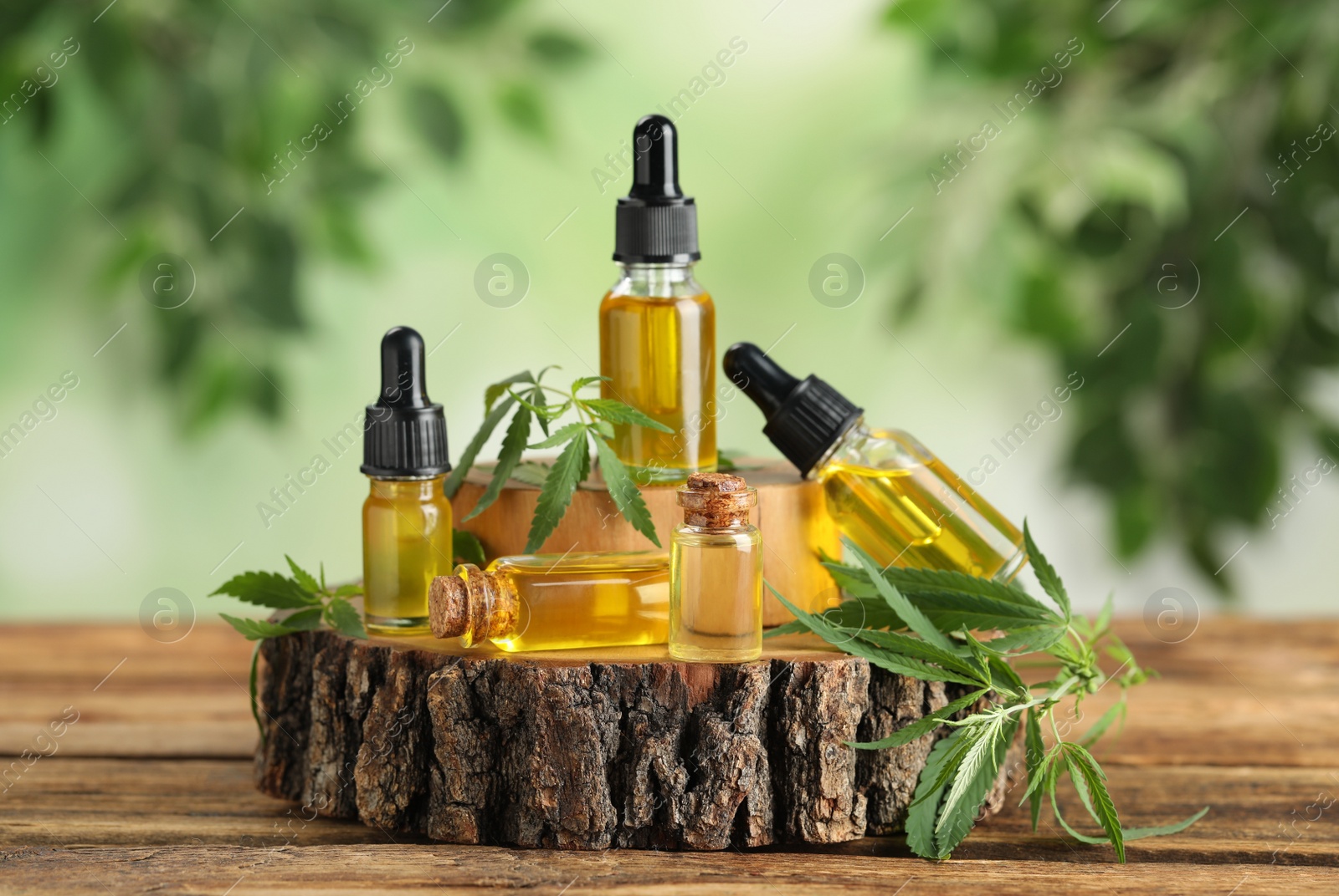 Photo of Hemp oil and leaves on wooden table against blurred background