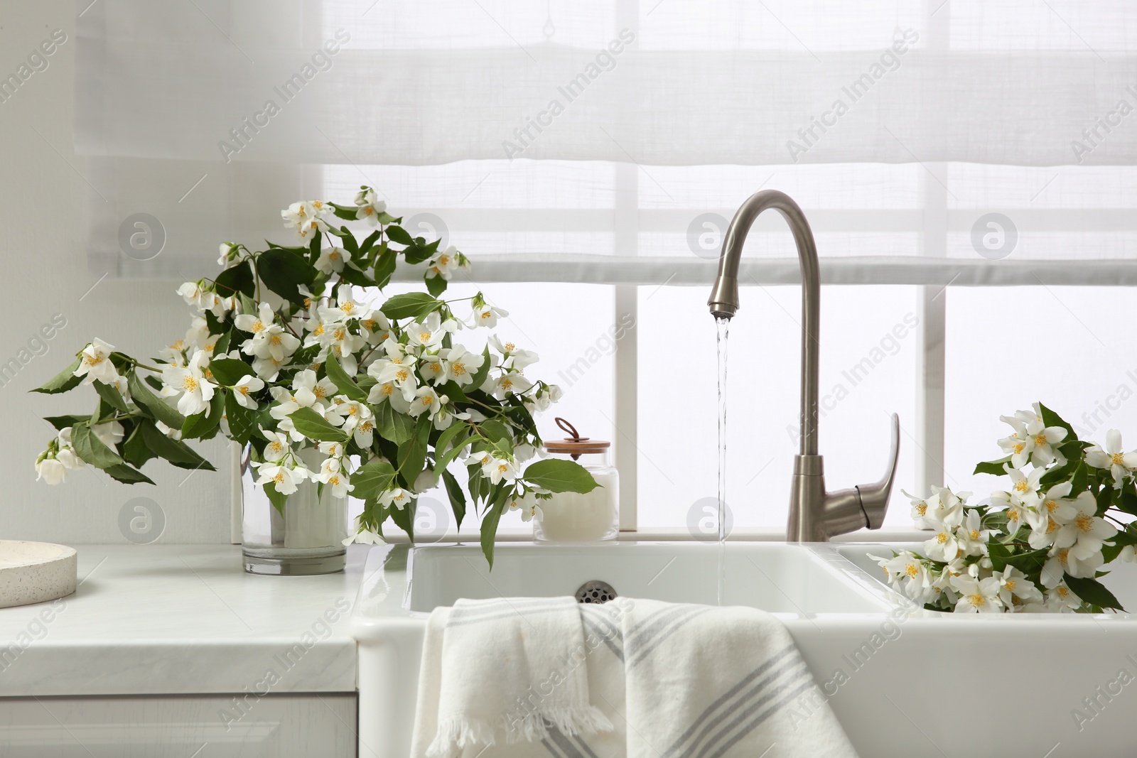 Photo of Bouquet of beautiful jasmine flowers in vase on countertop near kitchen sink