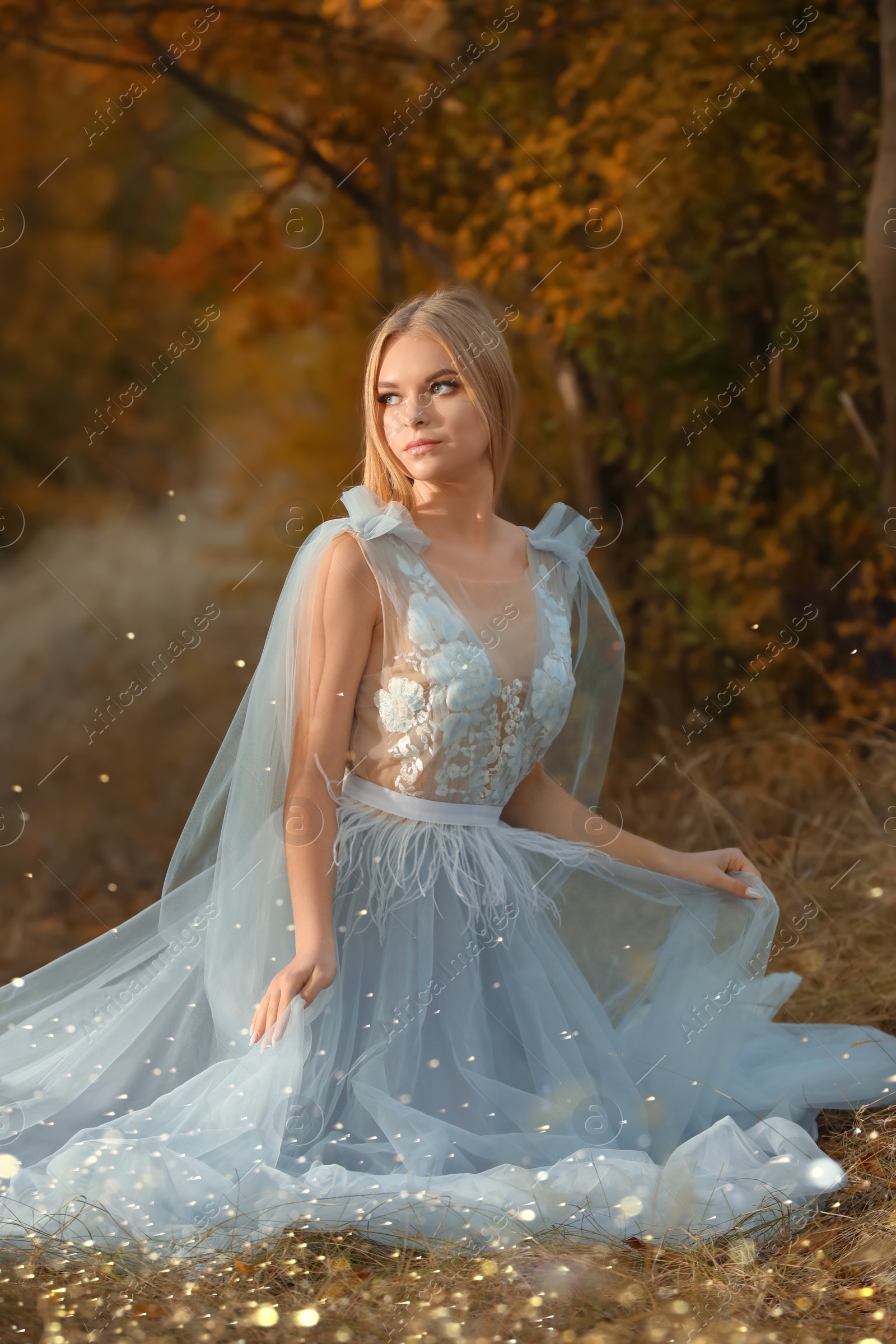 Photo of Beautiful girl wearing fairy dress in autumn forest