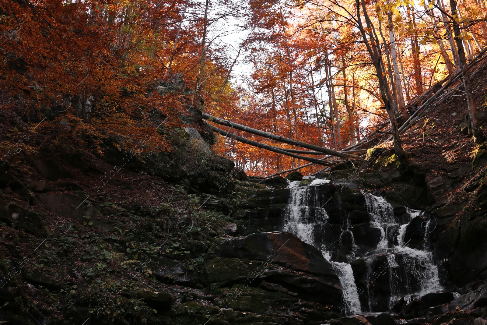 Photo of Beautiful waterfall with stones in autumn forest