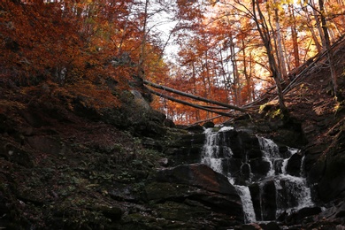 Beautiful waterfall with stones in autumn forest