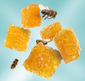 Image of Pieces of honeycomb in air and bees flying on light blue background