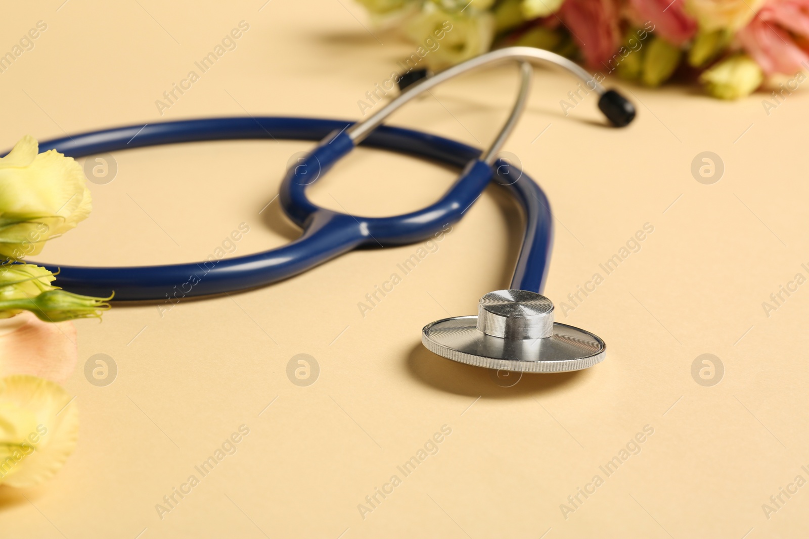 Photo of Stethoscope and eustoma flowers on beige background. Happy Doctor's Day