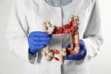 Photo of Gastroenterologist holding human colon model on white background, closeup