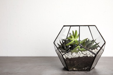 Photo of Glass florarium with different succulents on table against white background, space for text