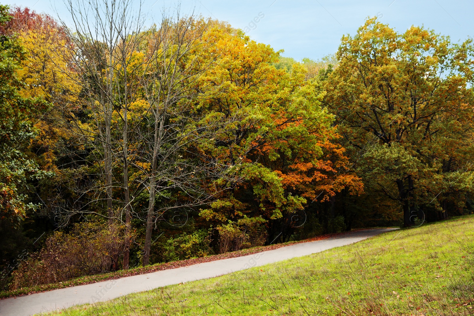 Photo of Beautiful view of park with trees on autumn day