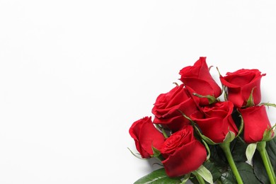 Photo of Beautiful red roses on white background, top view. Space for text