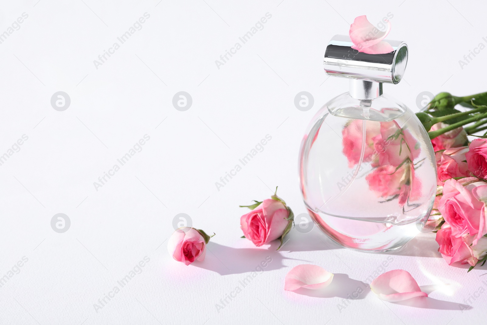 Photo of Bottle of luxury perfume and beautiful roses on white background, space for text. Floral fragrance