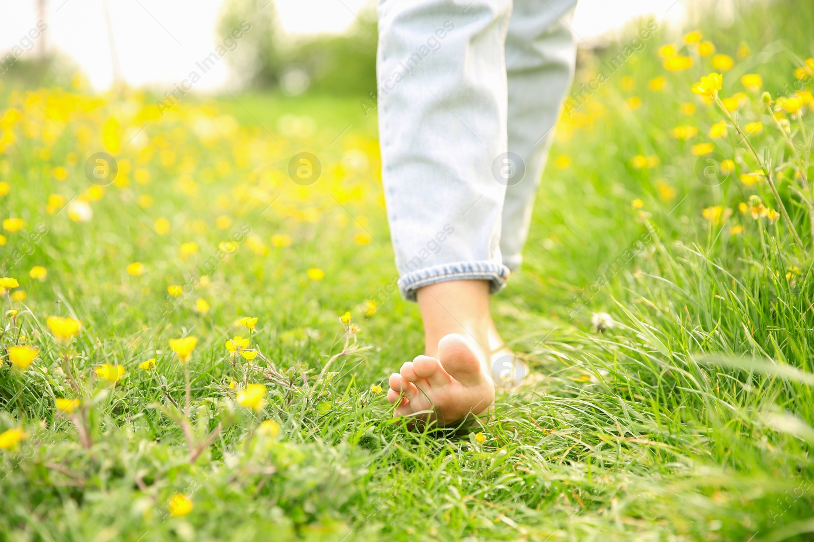 Photo of Woman walking barefoot on green grass outdoors, closeup