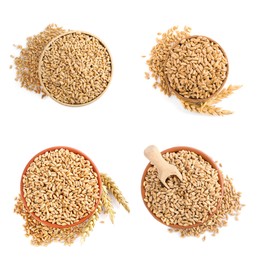 Set with bowls of wheat grains on white background, top view