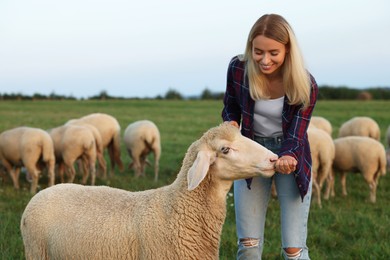 Photo of Smiling woman feeding cute sheep on pasture. Farm animals