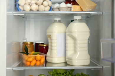 Photo of Gallons of milk and different products in refrigerator, closeup