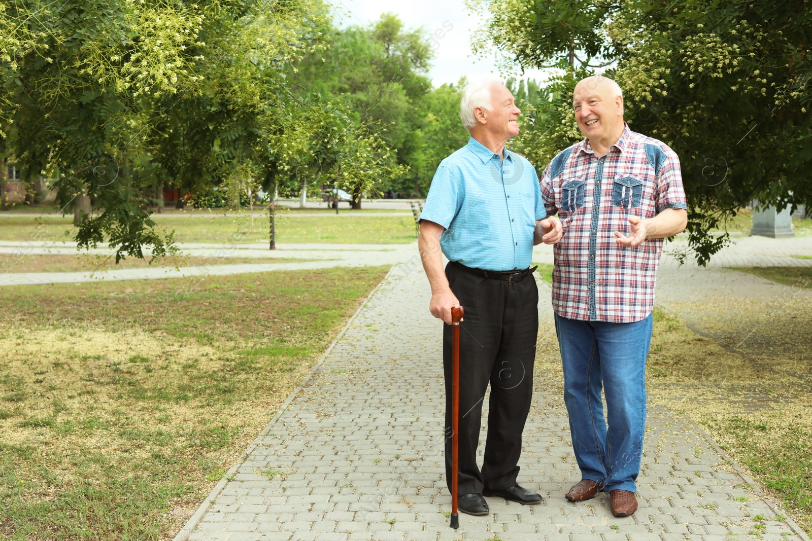 Photo of Elderly men spending time together in park