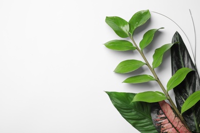 Flat lay composition with tropical leaves and space for text on white background