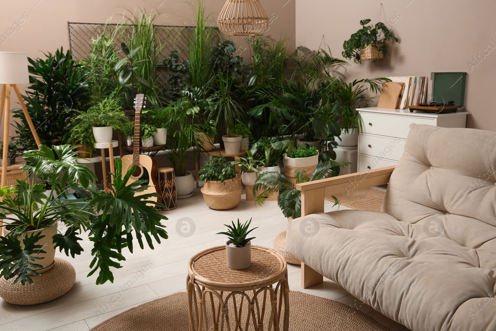 Photo of Living room interior with stylish furniture and different houseplants