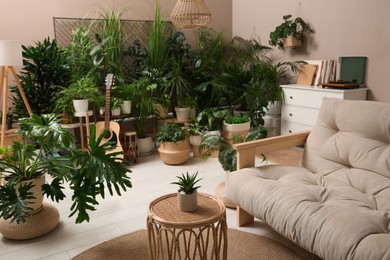 Living room interior with stylish furniture and different houseplants