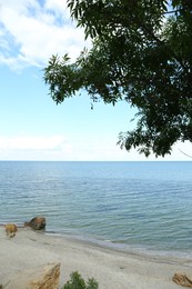 Picturesque view of sandy beach and stones near sea