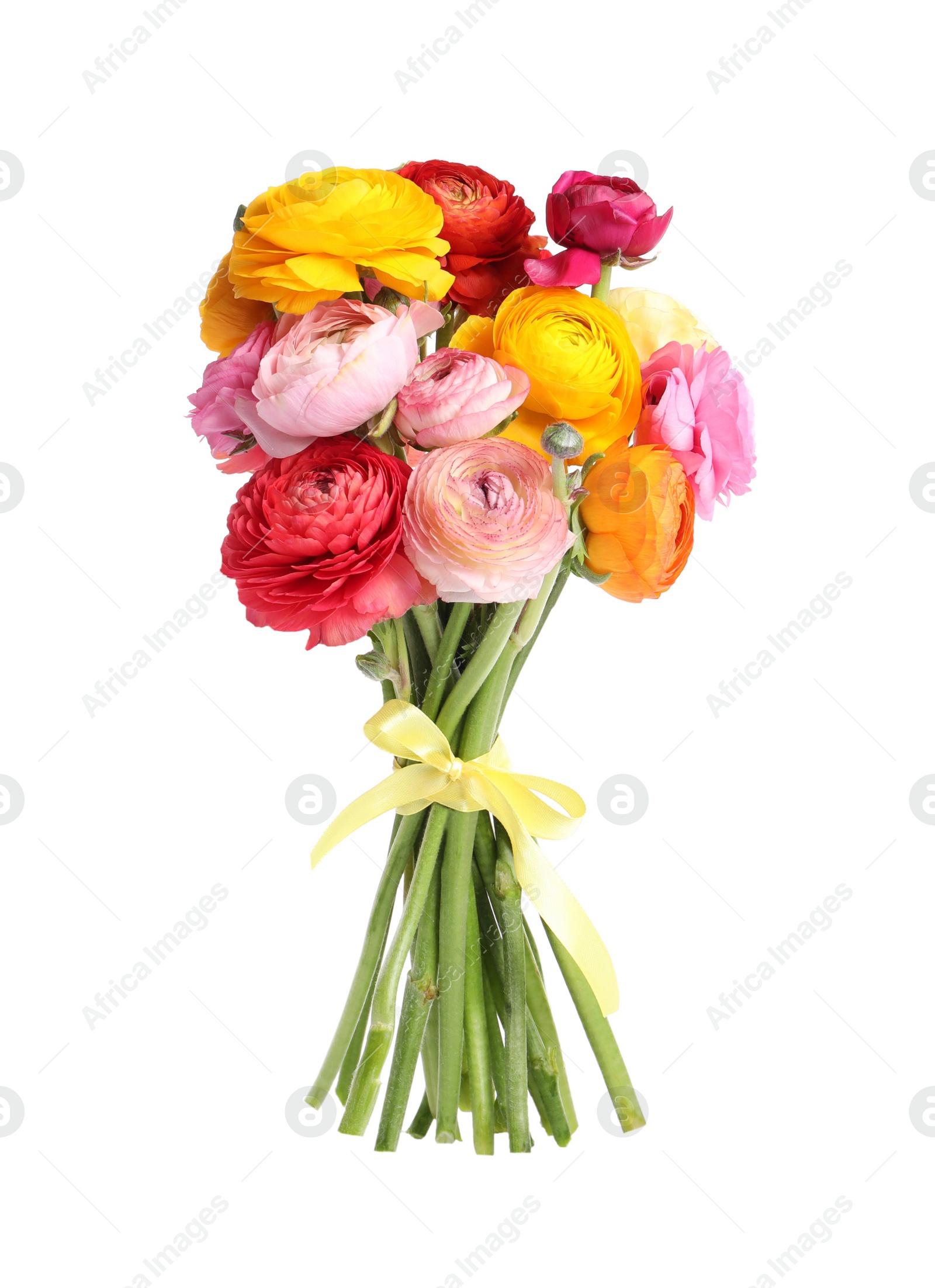 Photo of Beautiful bouquet of ranunculus flowers isolated on white