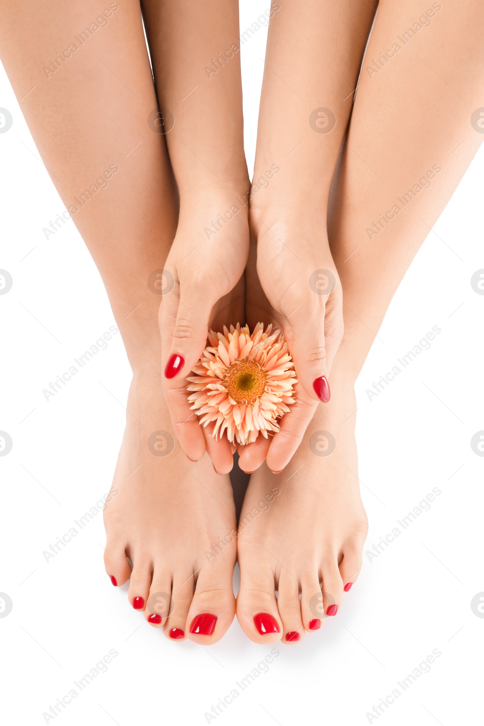 Photo of Woman with stylish red toenails after pedicure procedure and pink flower isolated on white, top view