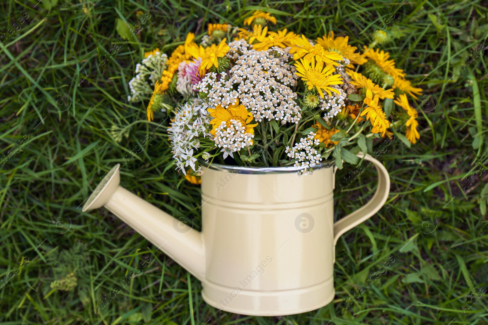 Photo of Pale yellow watering can with beautiful flowers on green grass, top view