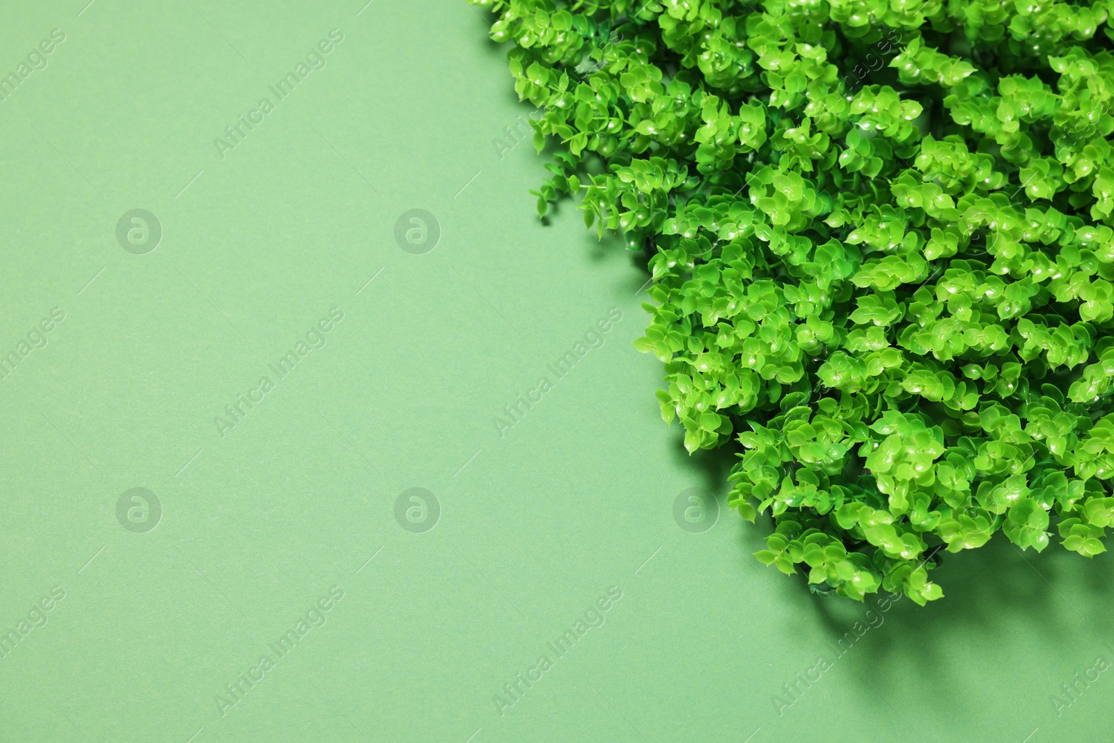 Photo of Green artificial plants on color background, top view. Space for text