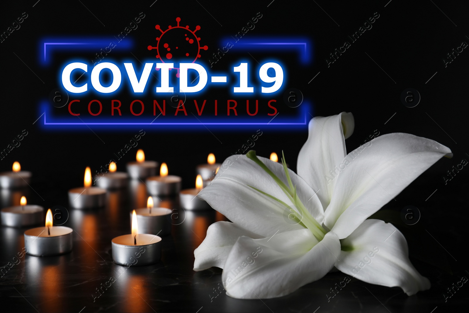 Image of Funeral ceremony devoted to coronavirus victims. White lily and burning candles on table