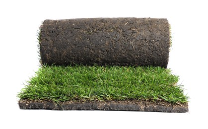 Photo of Rolled sod with grass on white background