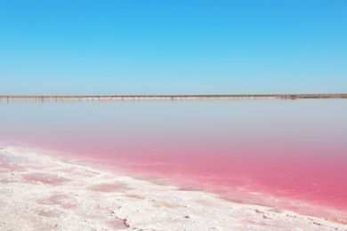 Photo of Beautiful view of pink lake on summer day