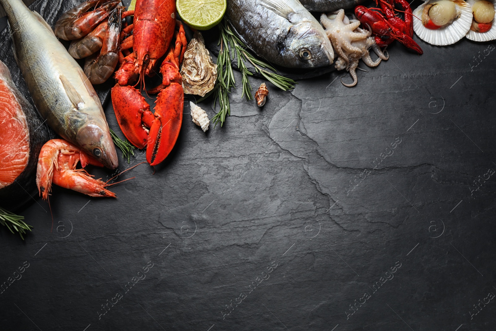 Photo of Fresh fish and different seafood on black table, flat lay. Space for text