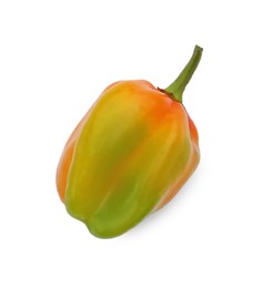 Fresh raw hot chili pepper isolated on white, top view