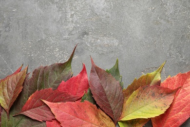 Flat lay composition with autumn leaves on stone background. Space for text