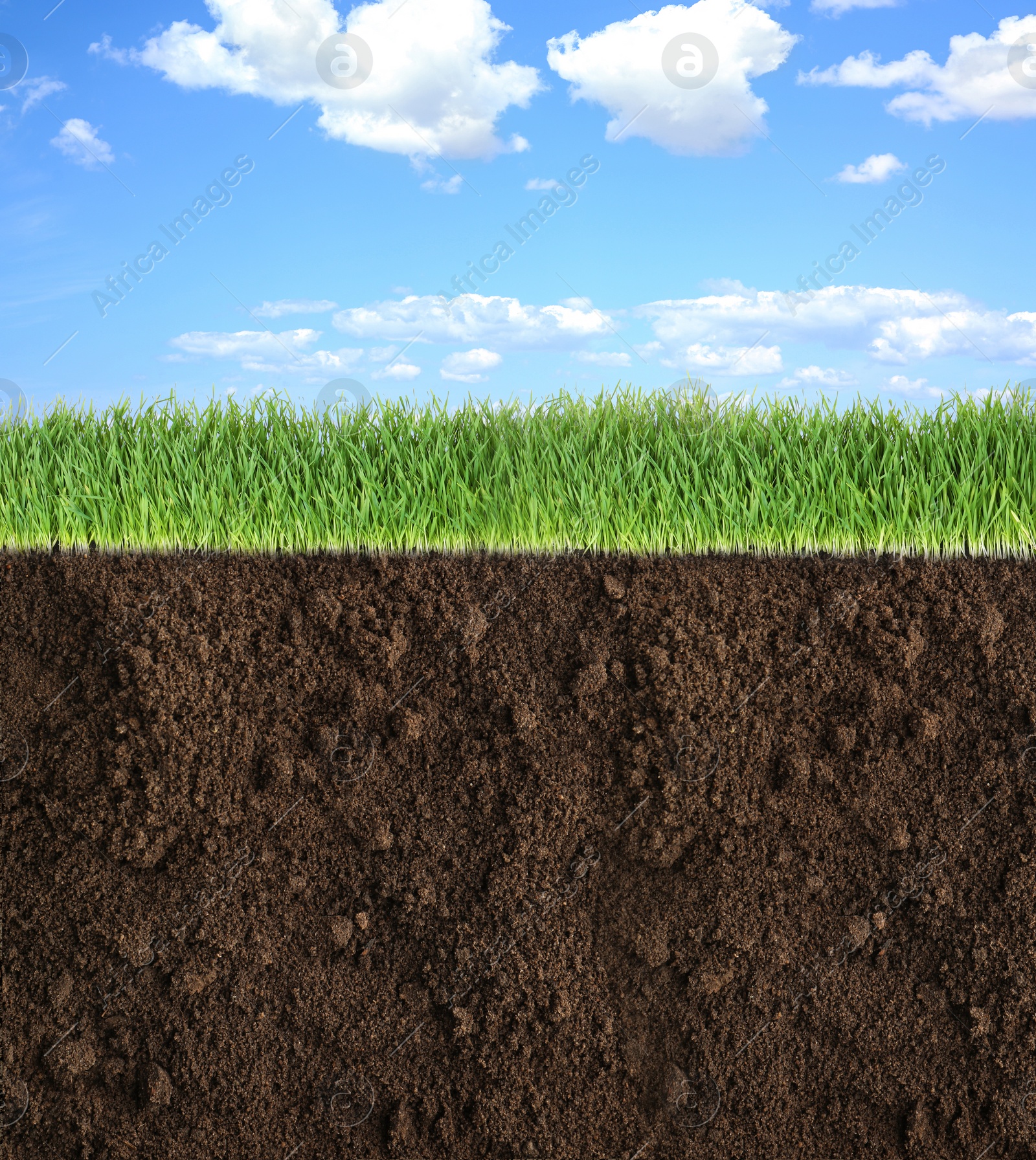 Image of Soil with lush green grass and beautiful blue sky with clouds