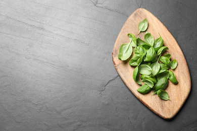 Photo of Fresh basil on grey table, top view. Space for text