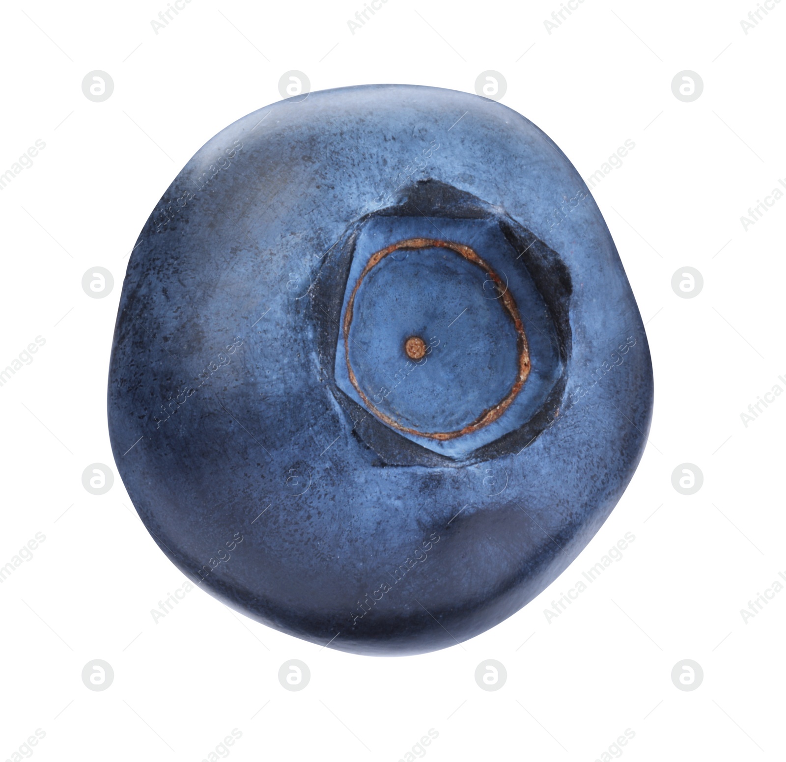 Photo of One fresh ripe blueberry isolated on white