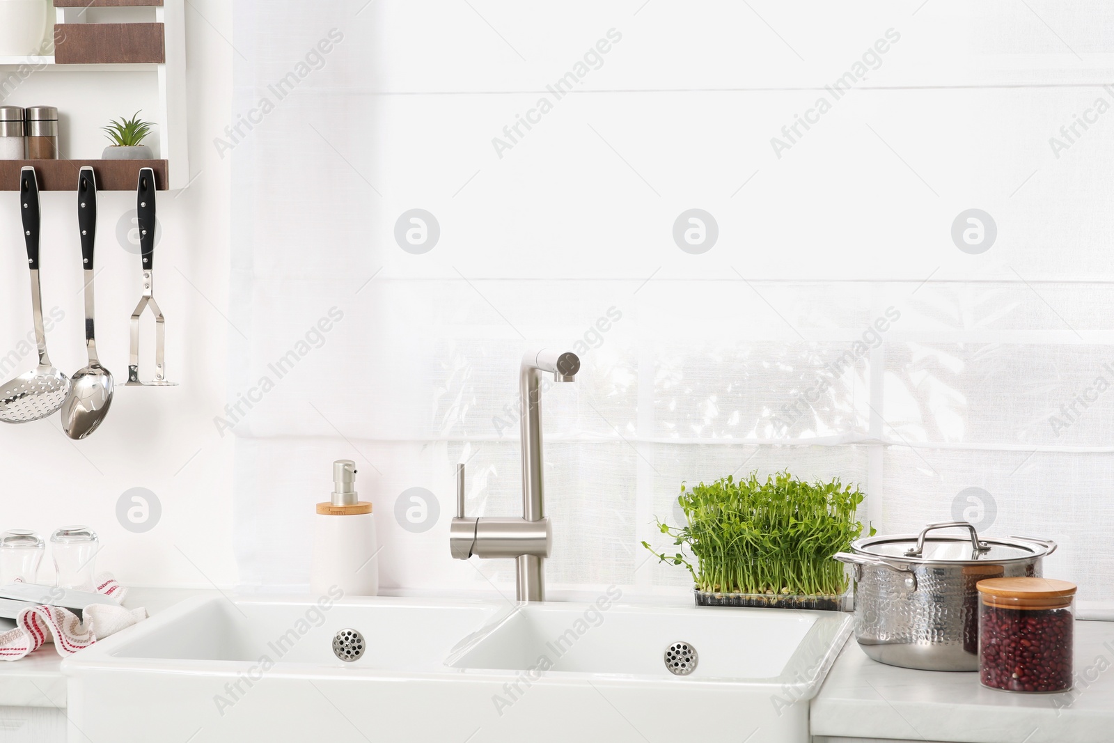 Photo of Stylish white sinks, utensils and microgreens in kitchen