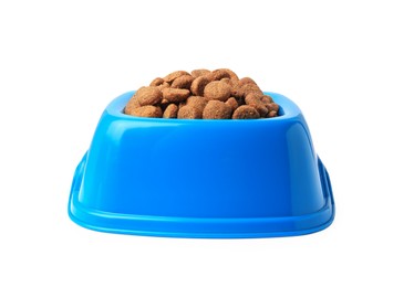 Photo of Dry pet food in feeding bowl on white background