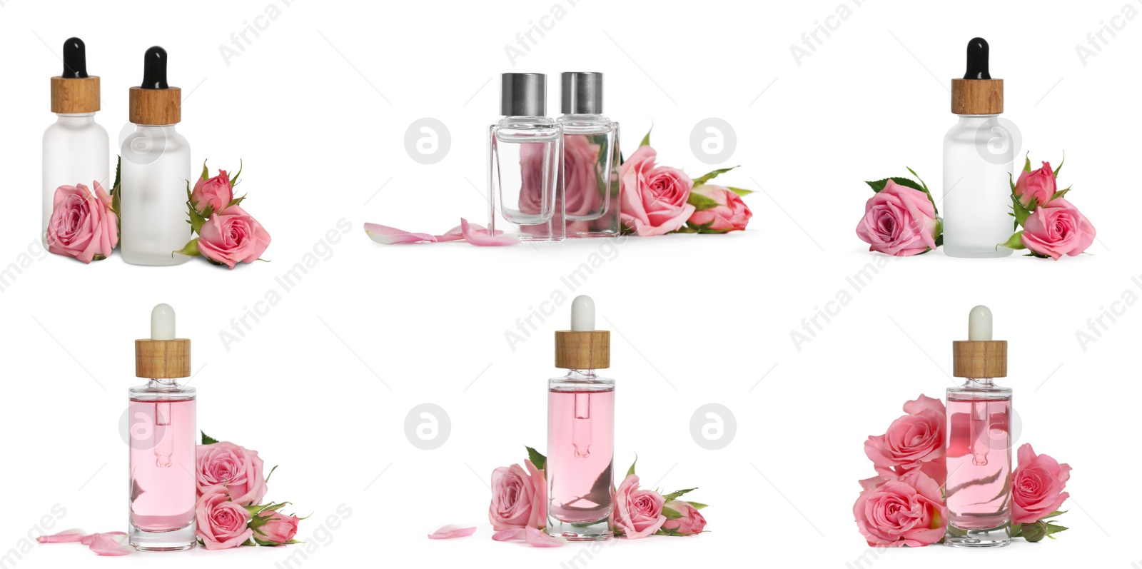 Image of Set with bottles of essential rose oil and flowers on white background. Banner design