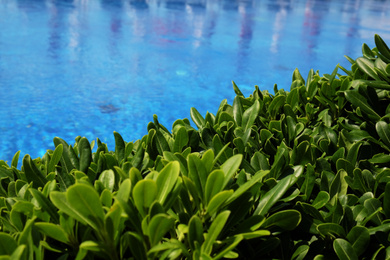 Photo of Outdoor swimming pool with clear water on sunny day