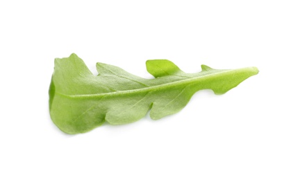 Photo of Fresh green arugula leaf on white background