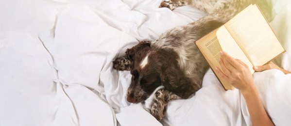 Image of Woman reading book and adorable dog lying near her in bed, closeup view with space for text. Banner design