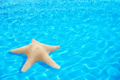 Image of Beautiful sea star on clear blue water