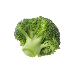 Photo of Piece of fresh green broccoli isolated on white